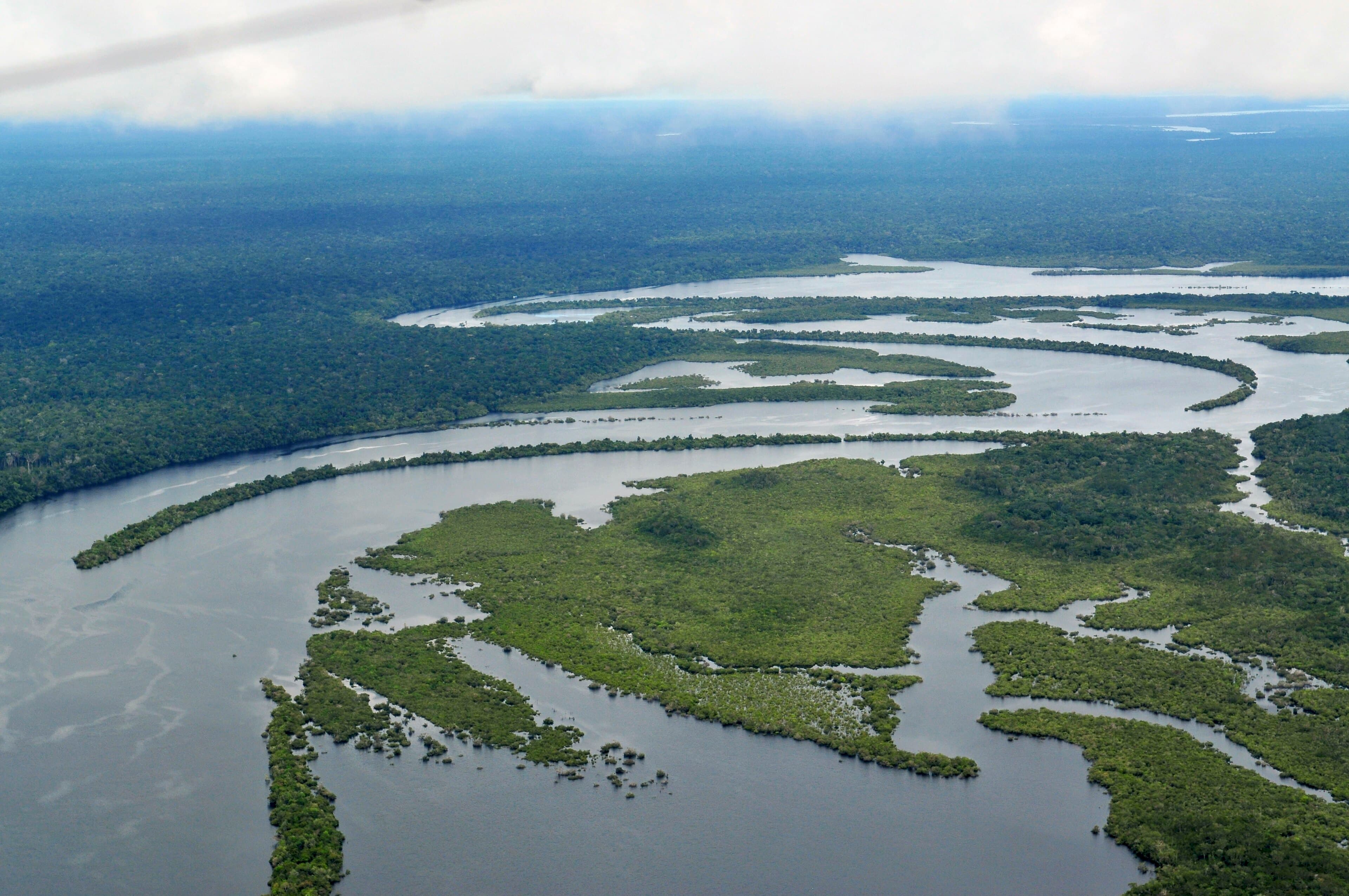 A dense green canopy of the Ecuadorian Amazon rainforest stretching to the horizon